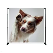 BANNER ÁLLVÁNY FRONTLIT NYOMATTAL L