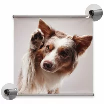 FRONTLIT NYOMAT BANNER ÁLLVÁNYHOZ L