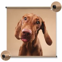 TEXTIL NYOMAT BANNER ÁLLVÁNYHOZ S