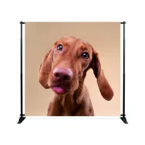 TEXTIL NYOMAT BANNER ÁLLVÁNYHOZ S