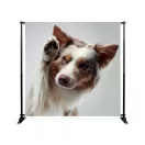 FRONTLIT NYOMAT BANNER ÁLLVÁNYHOZ L