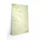 STADUR TÁBLA EGYOLDALAS 10 mm 10x100 CM