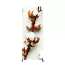 ZIPPER BANNER SLIM 80 X 200 CM