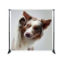 Banner állványok és keretek